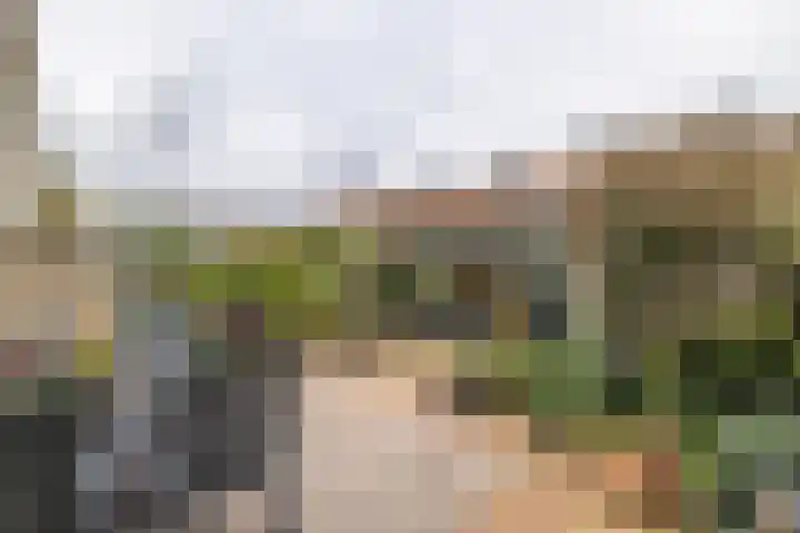 Thorbeckelaan 4 Hillegom thumbnail 37