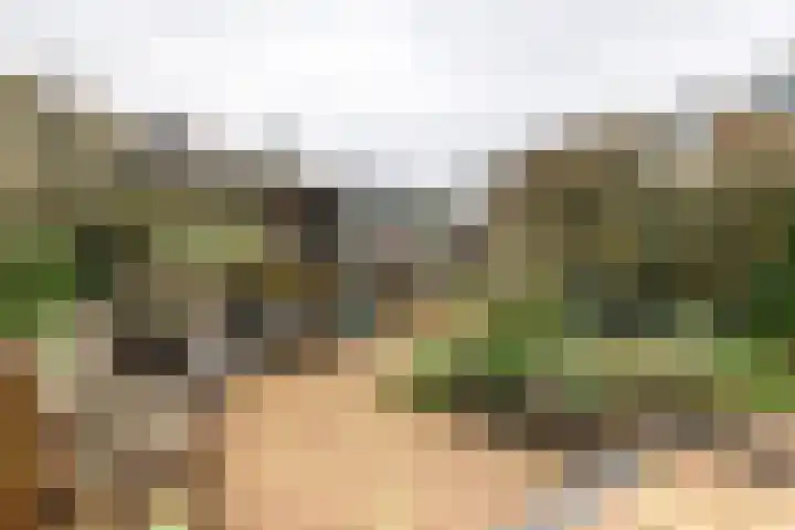Thorbeckelaan 4 Hillegom thumbnail 38