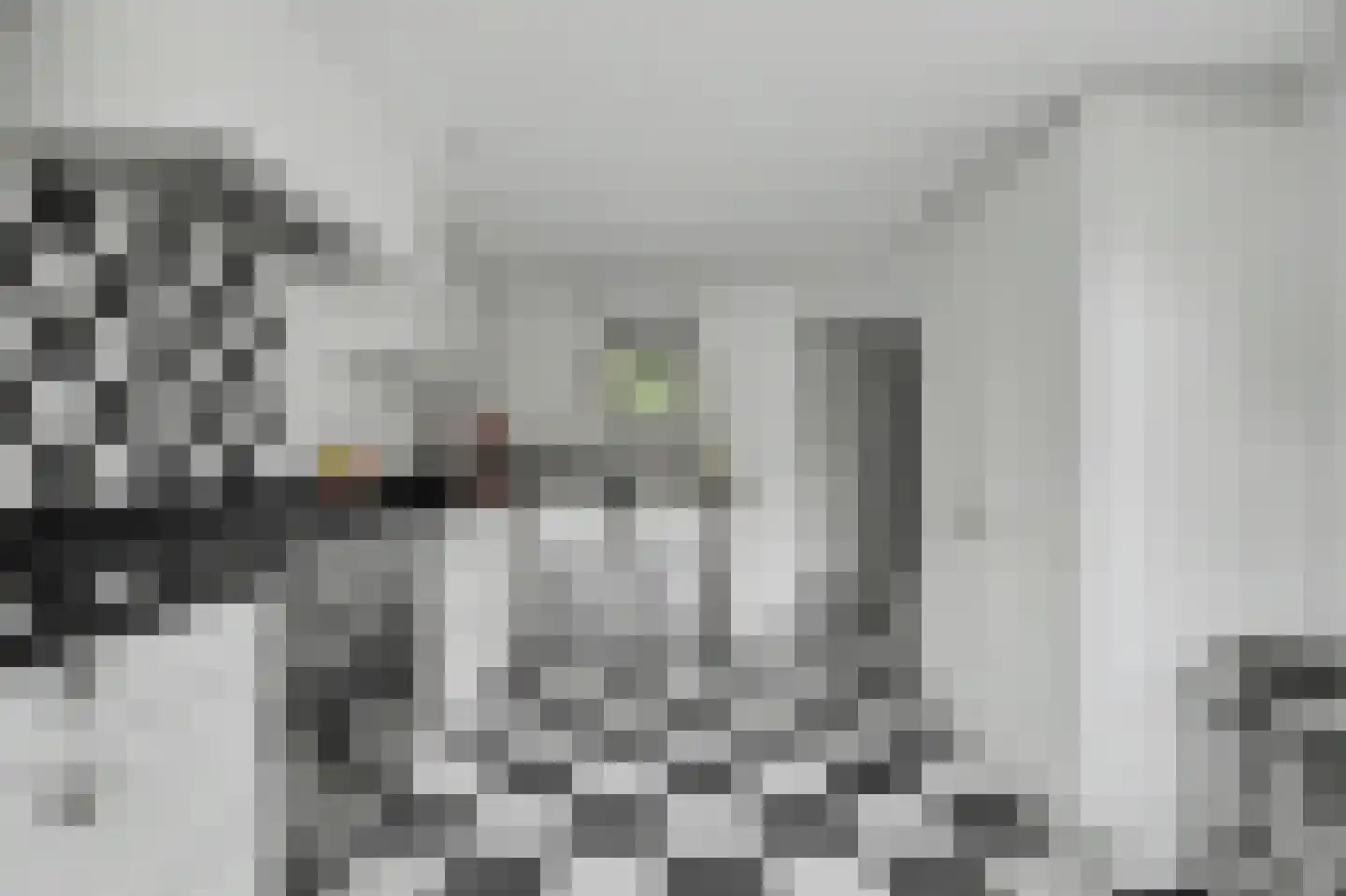 Thorbeckelaan 4 Reeuwijk thumbnail 15