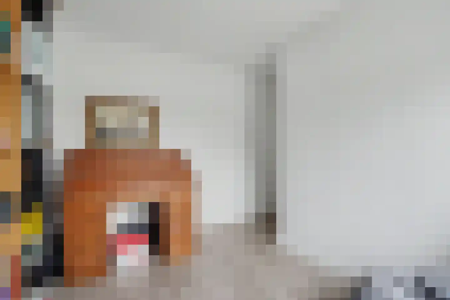 Thorbeckelaan 4 Reeuwijk thumbnail 27