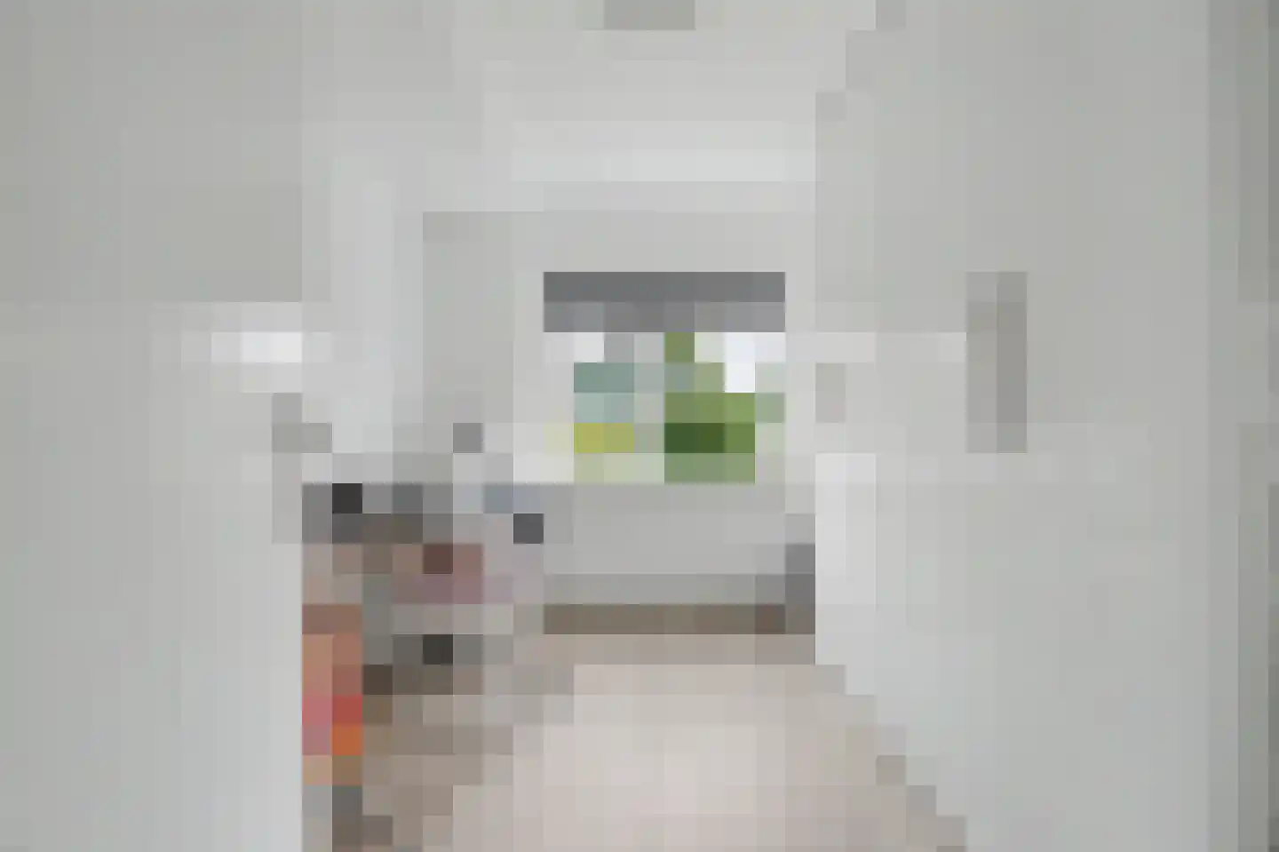Thorbeckelaan 4 Reeuwijk thumbnail 31