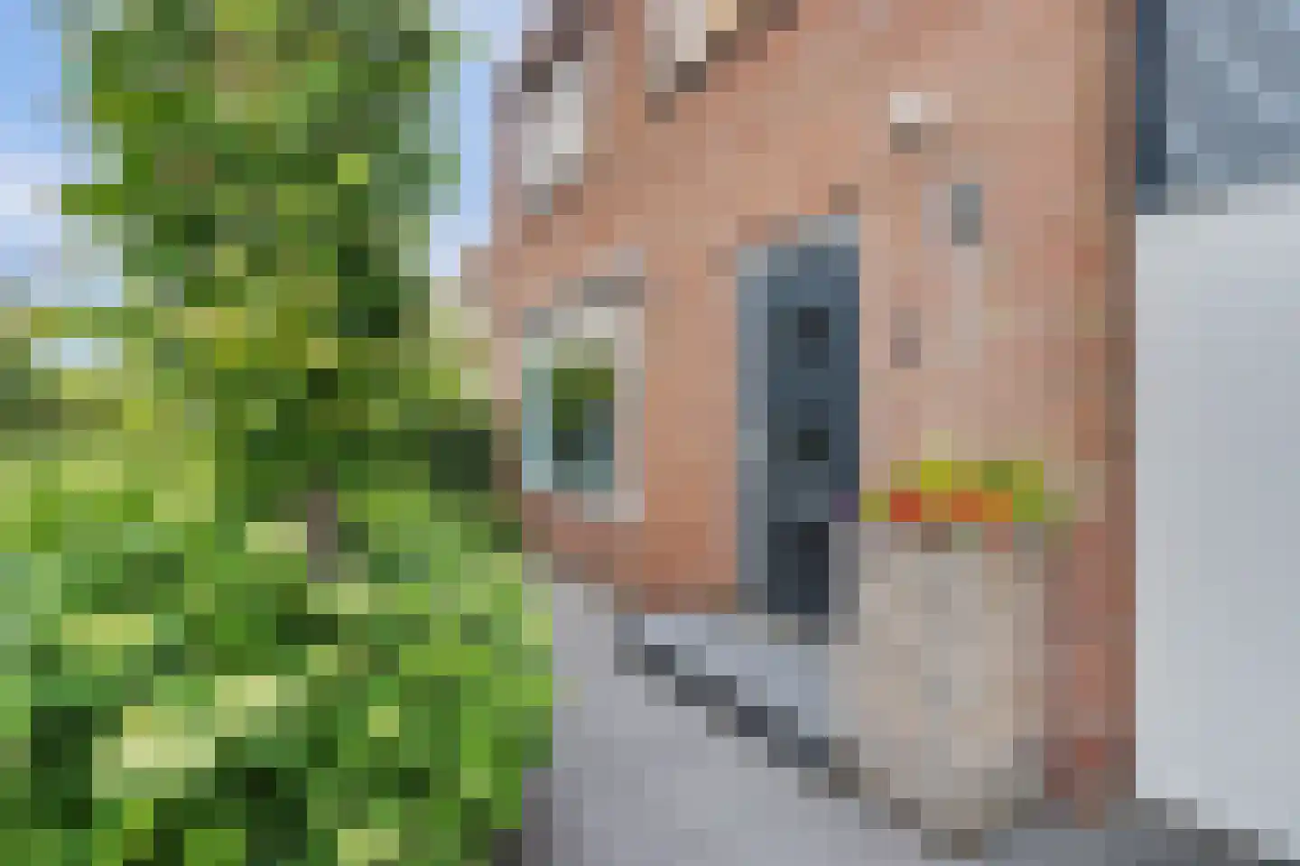 Thorbeckelaan 4 Reeuwijk thumbnail 5