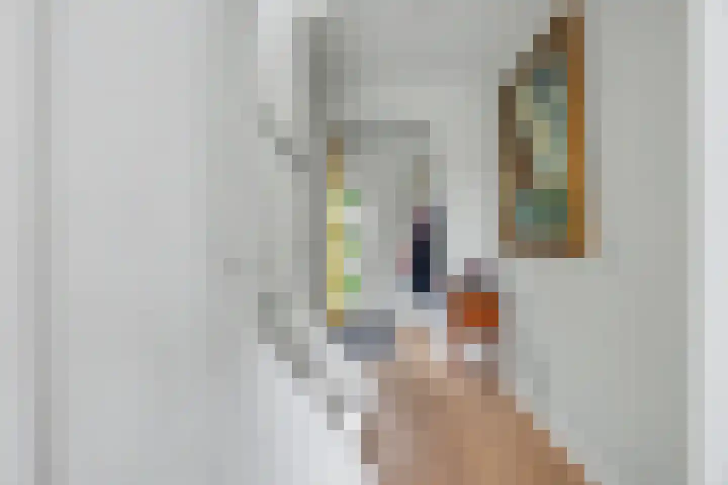 Thorbeckelaan 4 Reeuwijk thumbnail 6