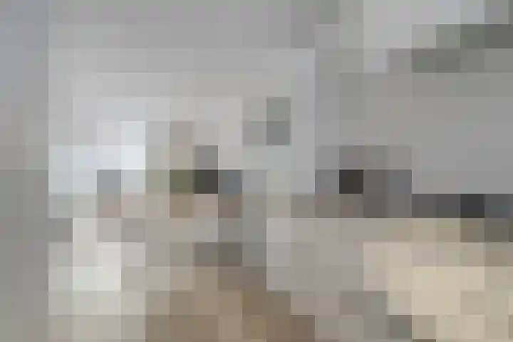Thorbeckelaan 40 Spijkenisse thumbnail 12