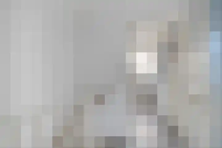 Thorbeckelaan 40 Spijkenisse thumbnail 13