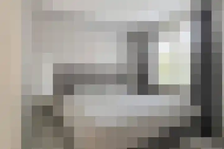 Thorbeckelaan 40 Spijkenisse thumbnail 19