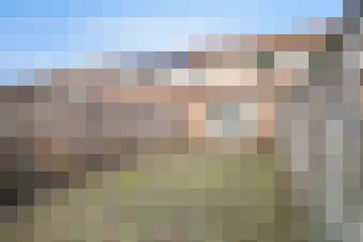 Thorbeckelaan 40 Spijkenisse thumbnail 24