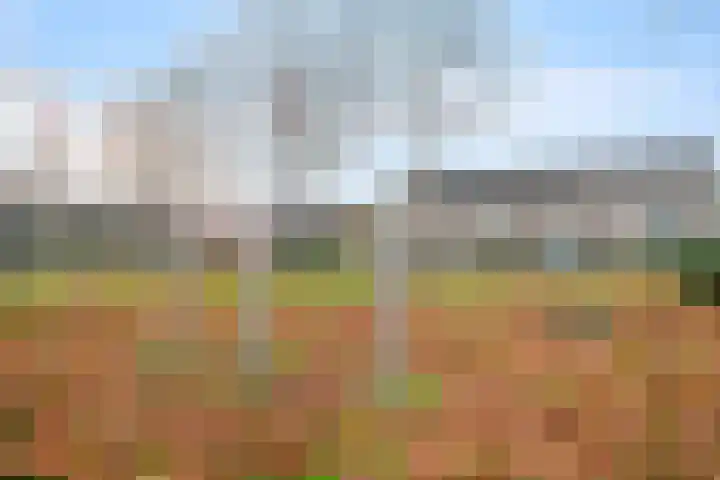Thorbeckelaan 40 Spijkenisse thumbnail 29