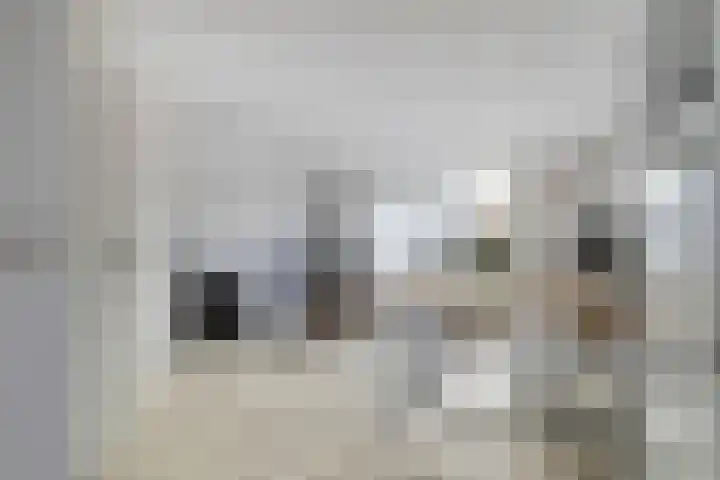 Thorbeckelaan 40 Spijkenisse thumbnail 9