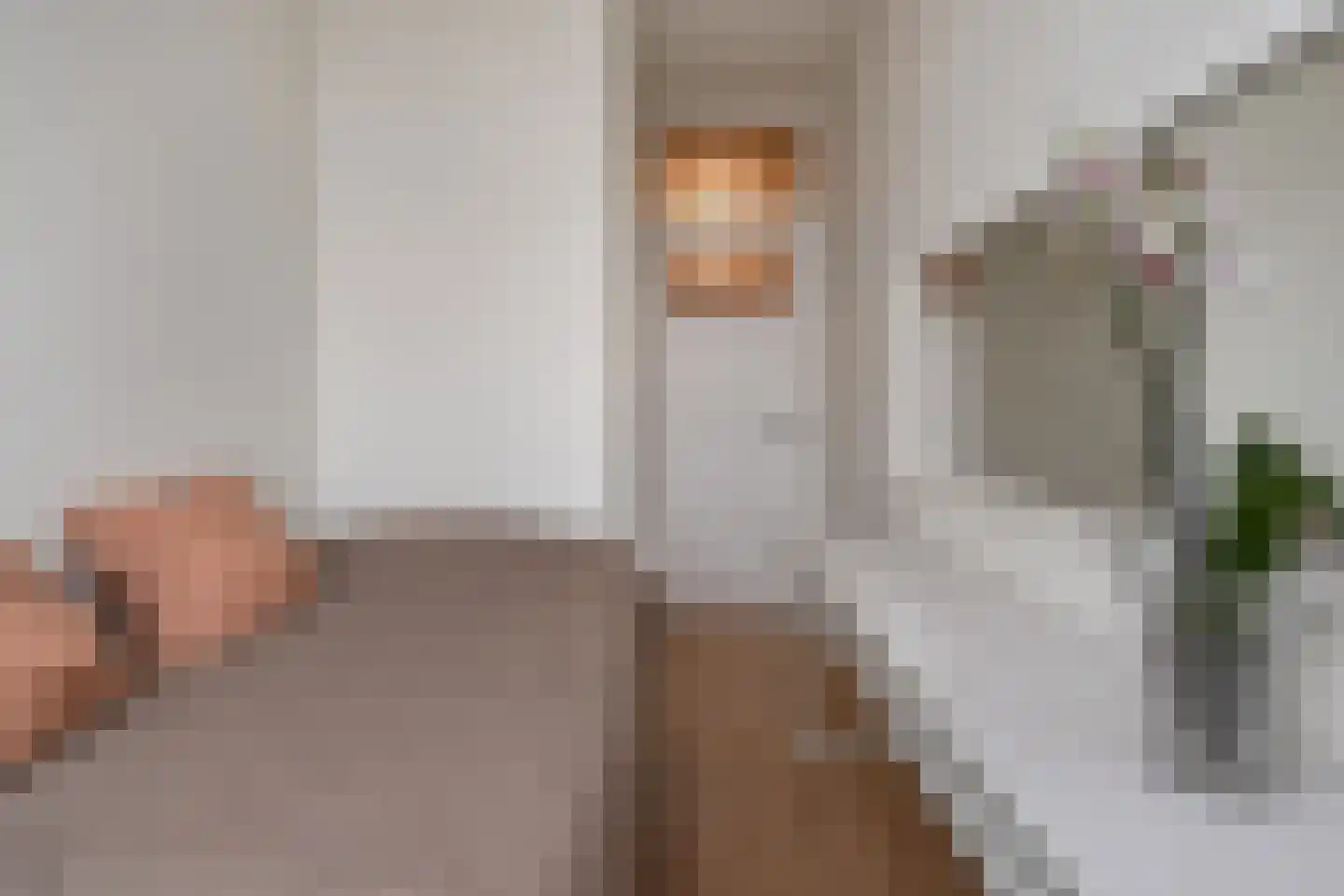 Thorbeckelaan 407 Den Haag thumbnail 20