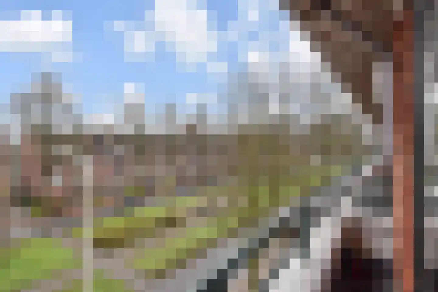 Thorbeckelaan 407 Den Haag thumbnail 23