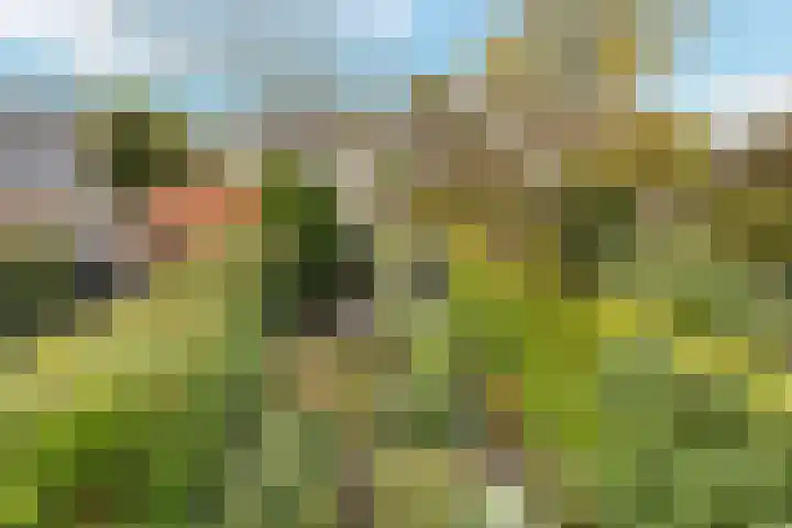 Thorbeckelaan 42 Naarden thumbnail 15