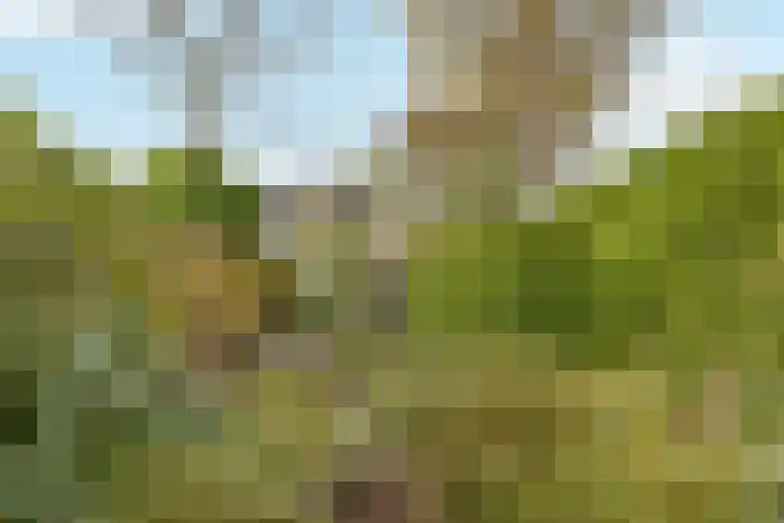 Thorbeckelaan 42 Naarden thumbnail 21