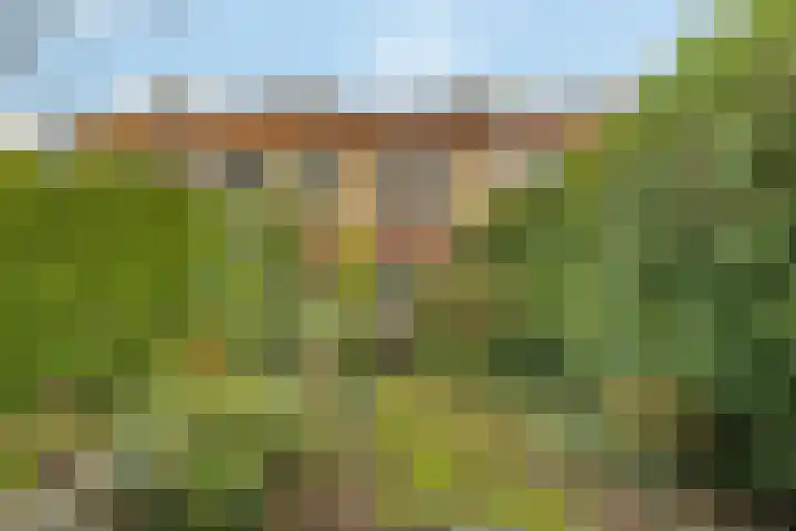 Thorbeckelaan 42 Naarden thumbnail 22