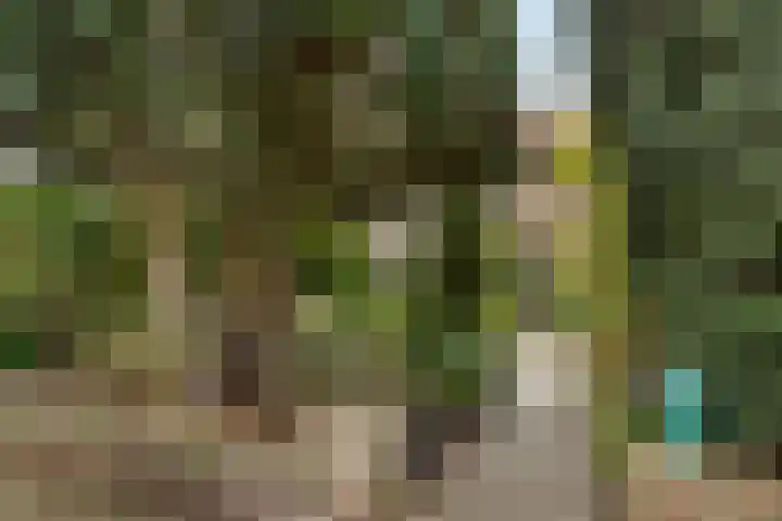 Thorbeckelaan 42 Naarden thumbnail 23