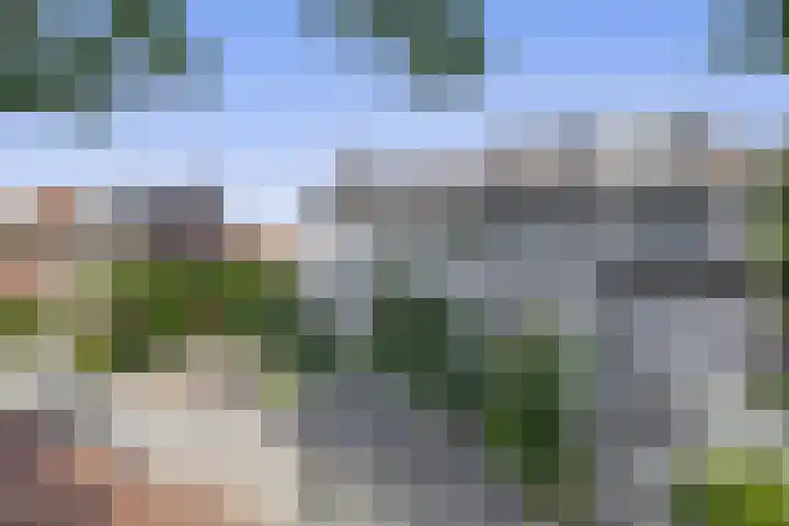 Thorbeckelaan 43 Harderwijk thumbnail 31
