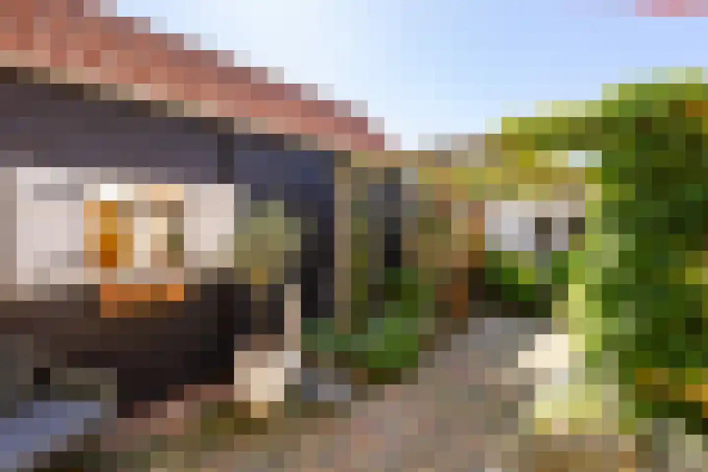 Thorbeckelaan 45 Sliedrecht thumbnail 30
