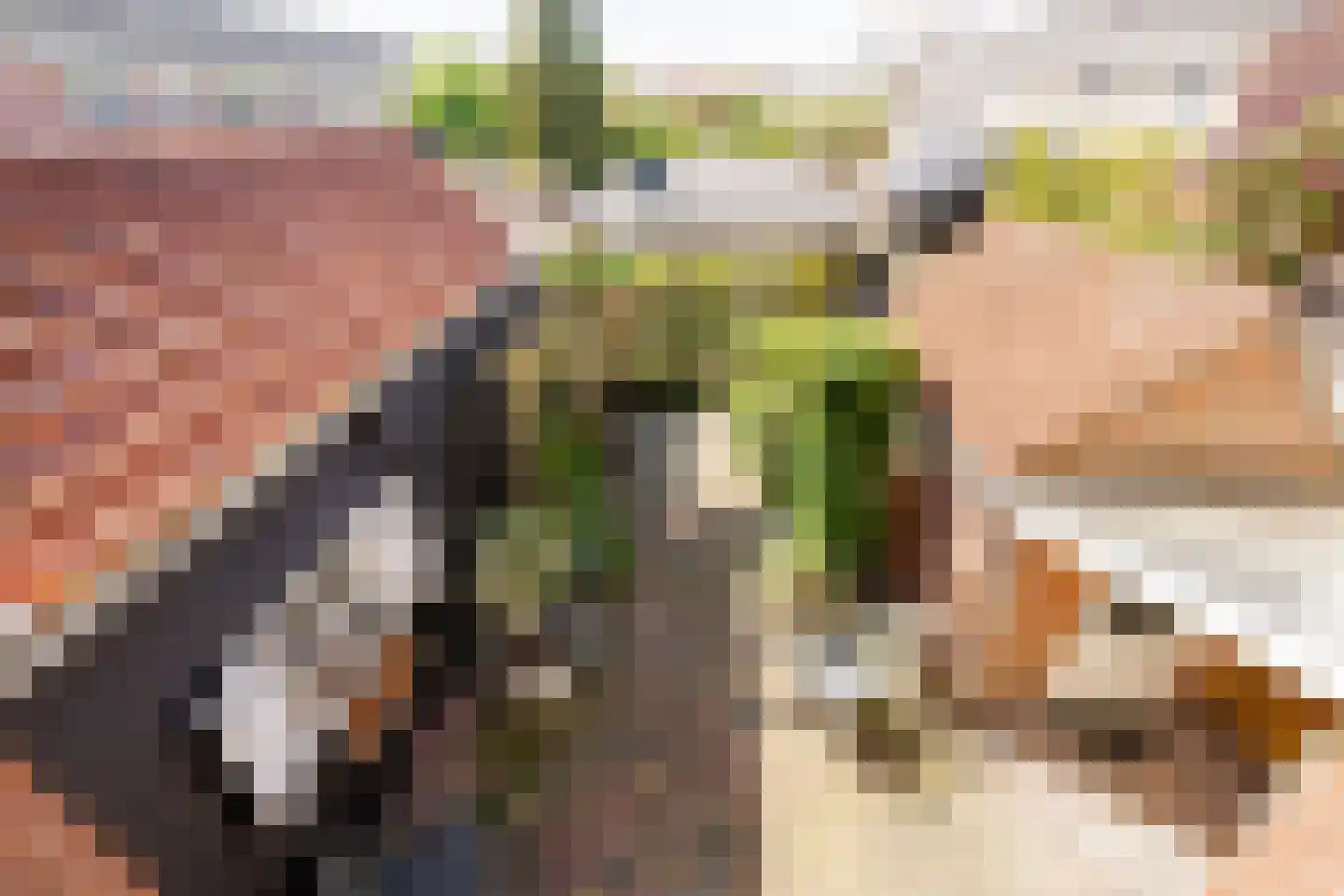 Thorbeckelaan 45 Sliedrecht thumbnail 5