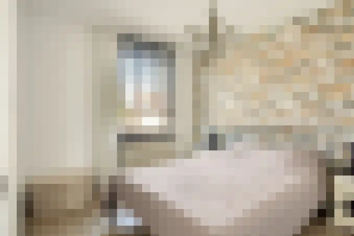 Thorbeckelaan 45 Spijkenisse thumbnail 33