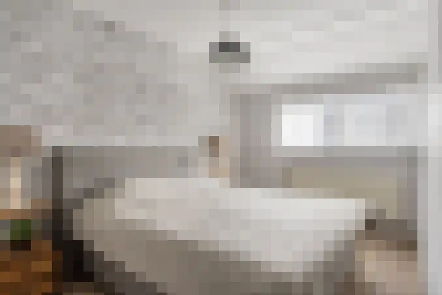 Thorbeckelaan 45 Spijkenisse thumbnail 34