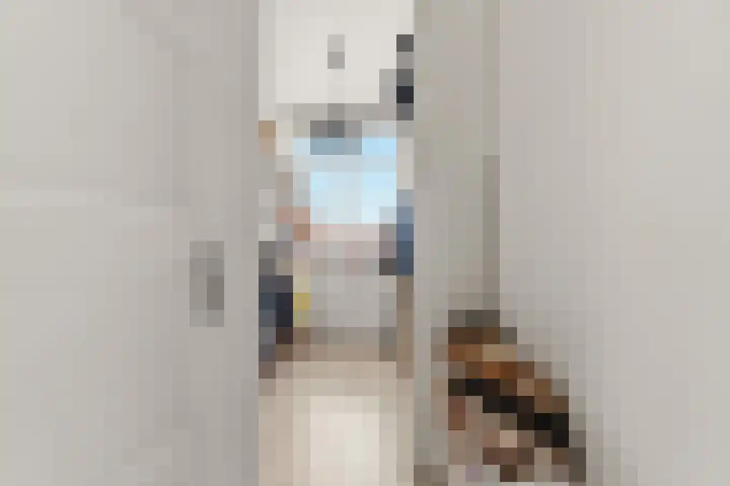 Thorbeckelaan 453 Den Haag thumbnail 35