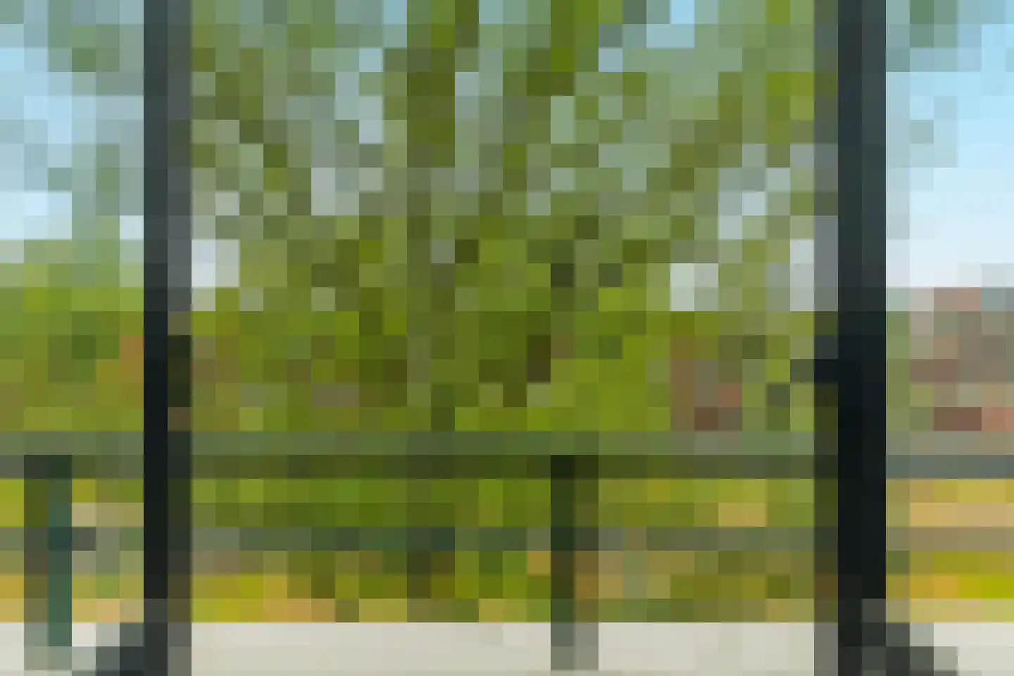 Thorbeckelaan 453 Den Haag thumbnail 59