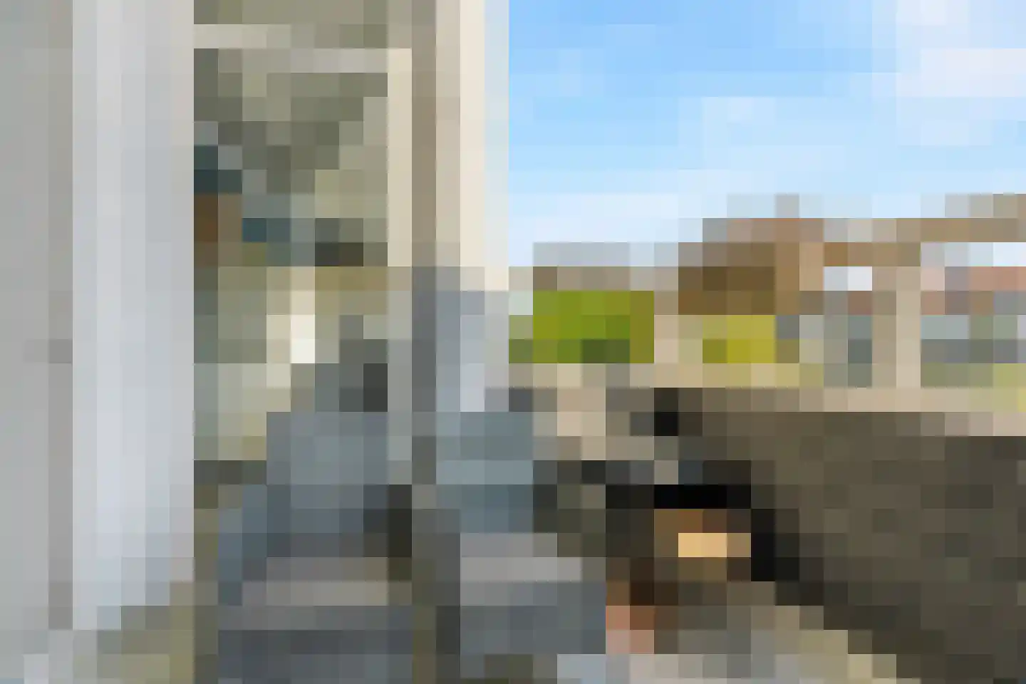 Thorbeckelaan 453 Den Haag thumbnail 73