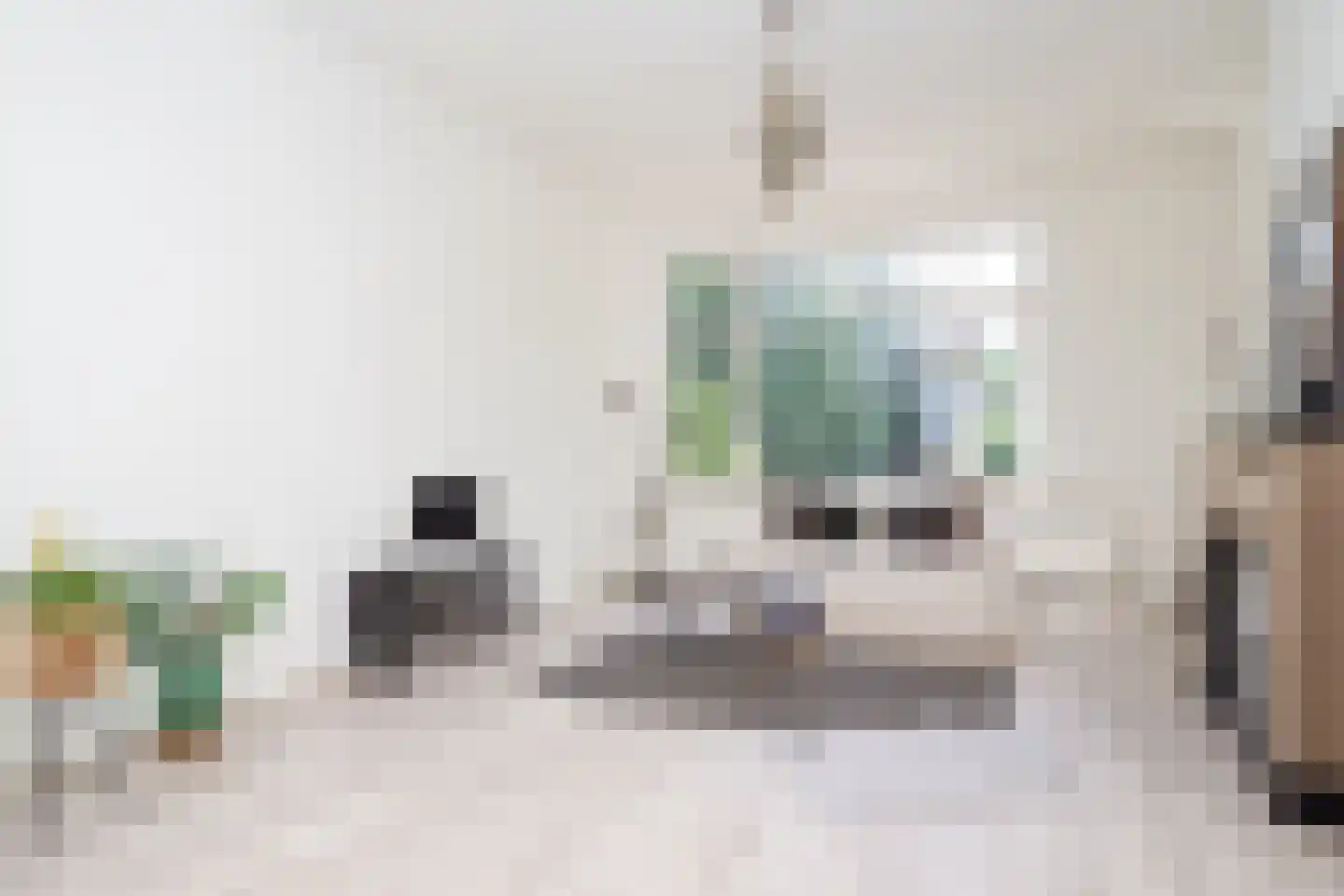 Thorbeckelaan 457 in Den Haag