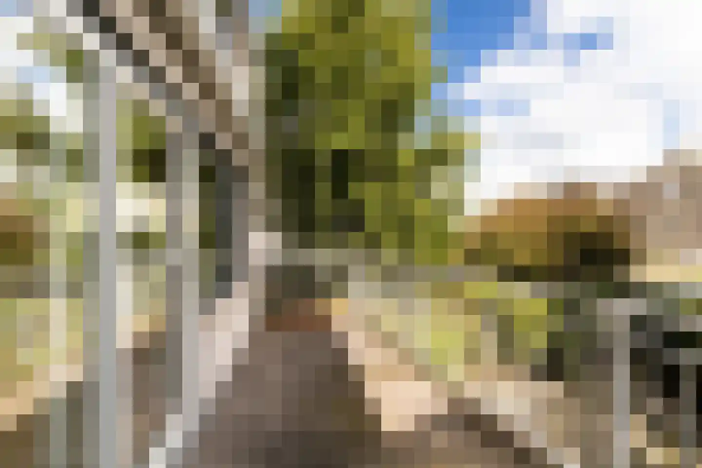 Thorbeckelaan 49 Roosendaal thumbnail 22