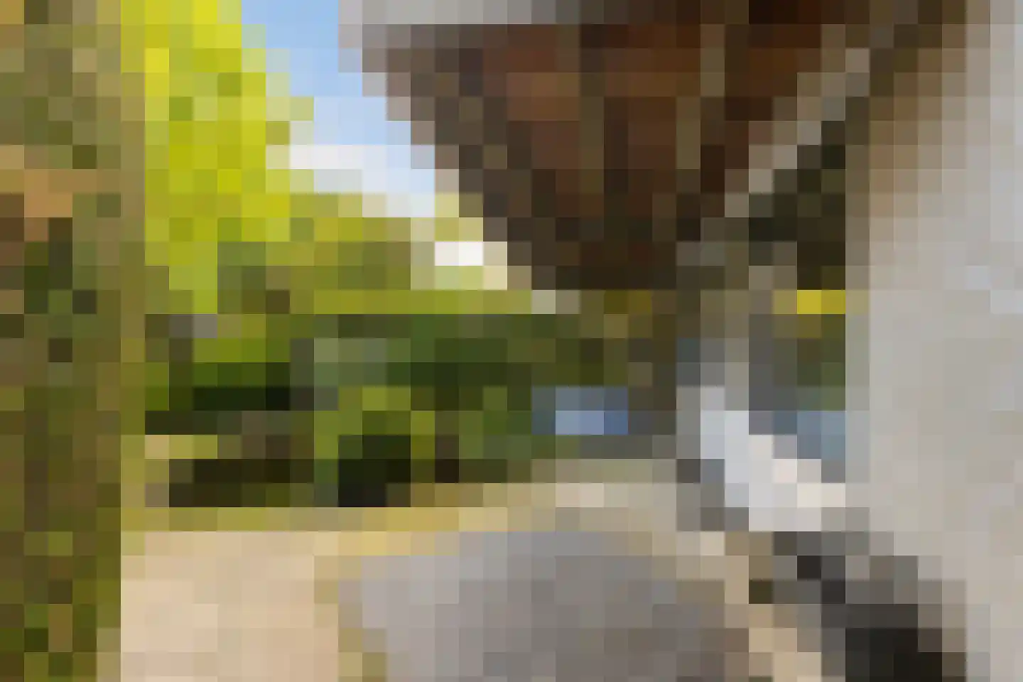 Thorbeckelaan 49 Roosendaal thumbnail 43