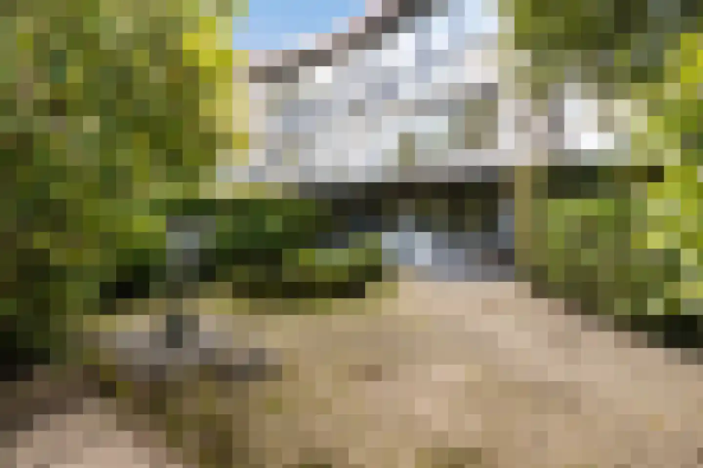 Thorbeckelaan 49 Roosendaal thumbnail 45
