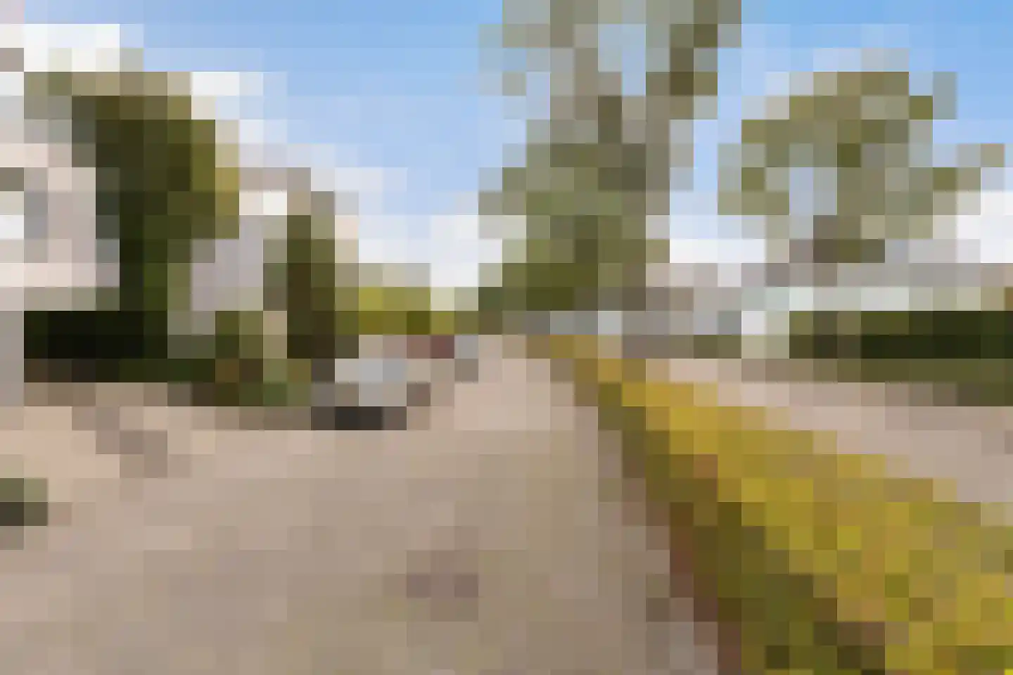 Thorbeckelaan 49 Roosendaal thumbnail 52