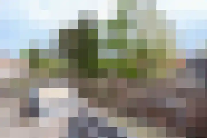 Thorbeckelaan 5 Naarden thumbnail 11