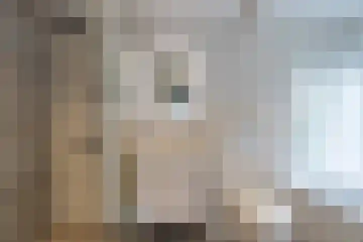Thorbeckelaan 5 Naarden thumbnail 15