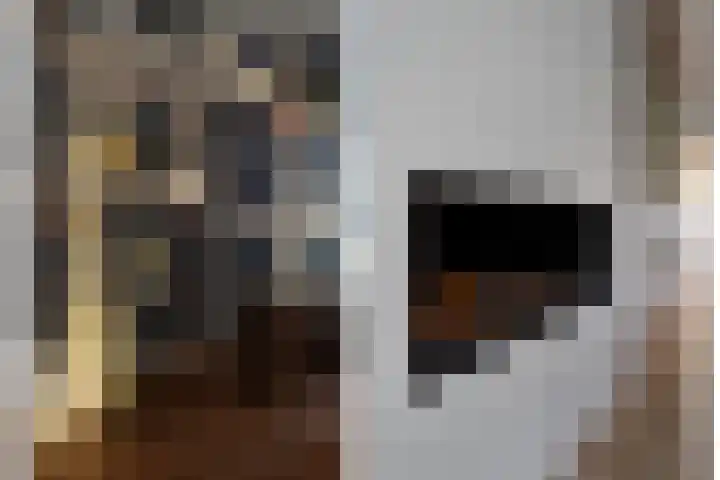 Thorbeckelaan 5 Naarden thumbnail 5