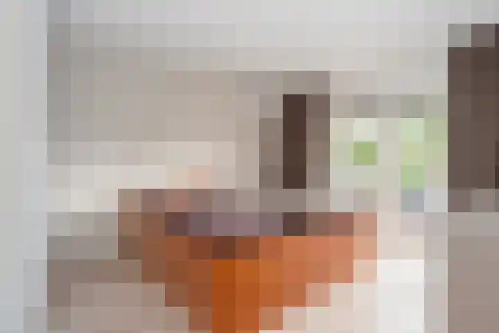 Thorbeckelaan 5 Naarden thumbnail 9