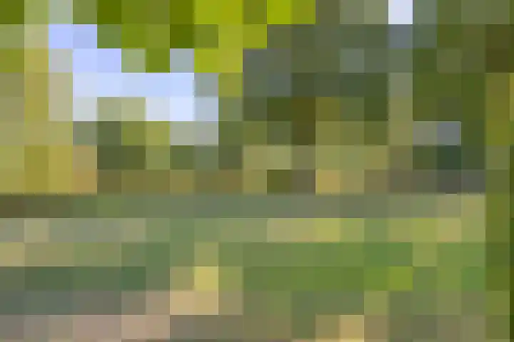 Thorbeckelaan 5 Pijnacker thumbnail 27