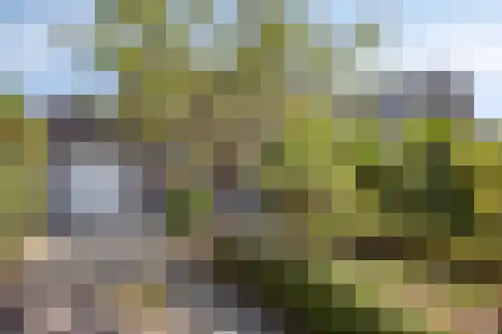 Thorbeckelaan 5 Pijnacker thumbnail 6