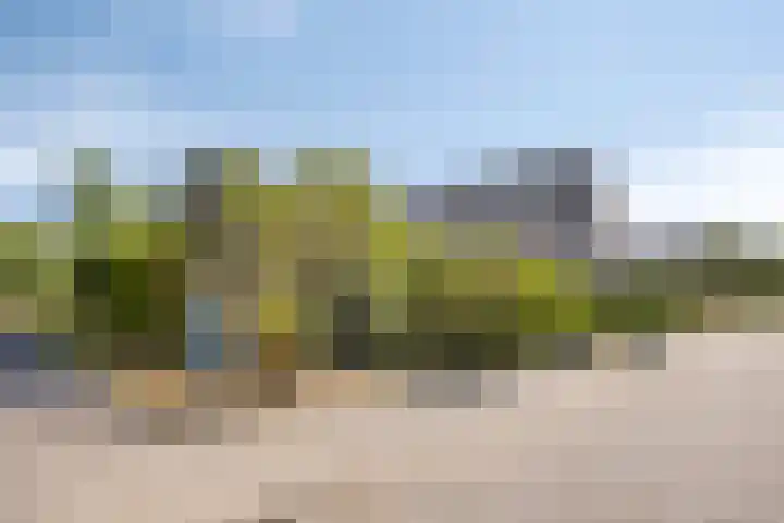 Thorbeckelaan 5 Pijnacker thumbnail 7