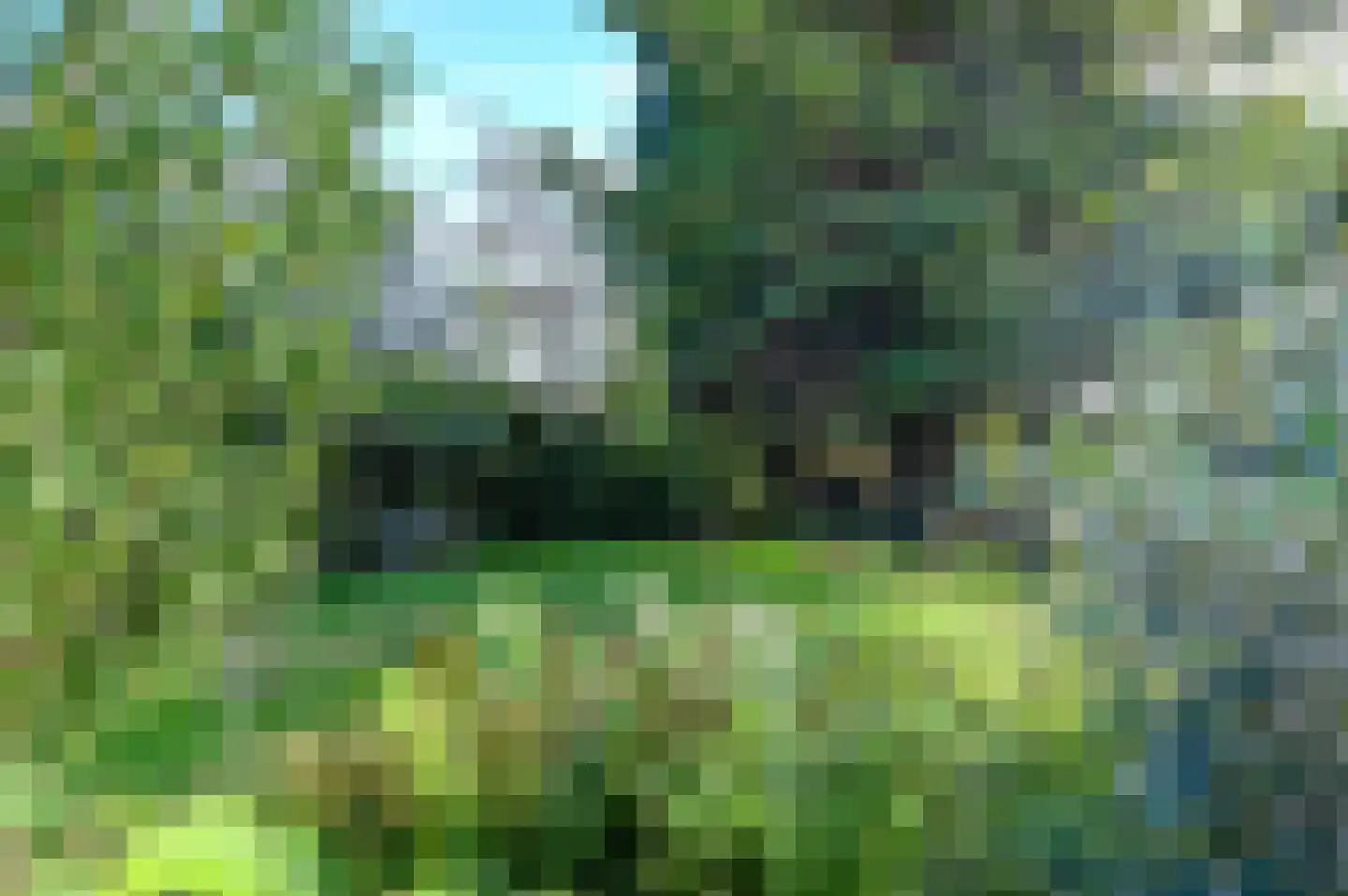 Thorbeckelaan 5 Velsen-Zuid thumbnail 33