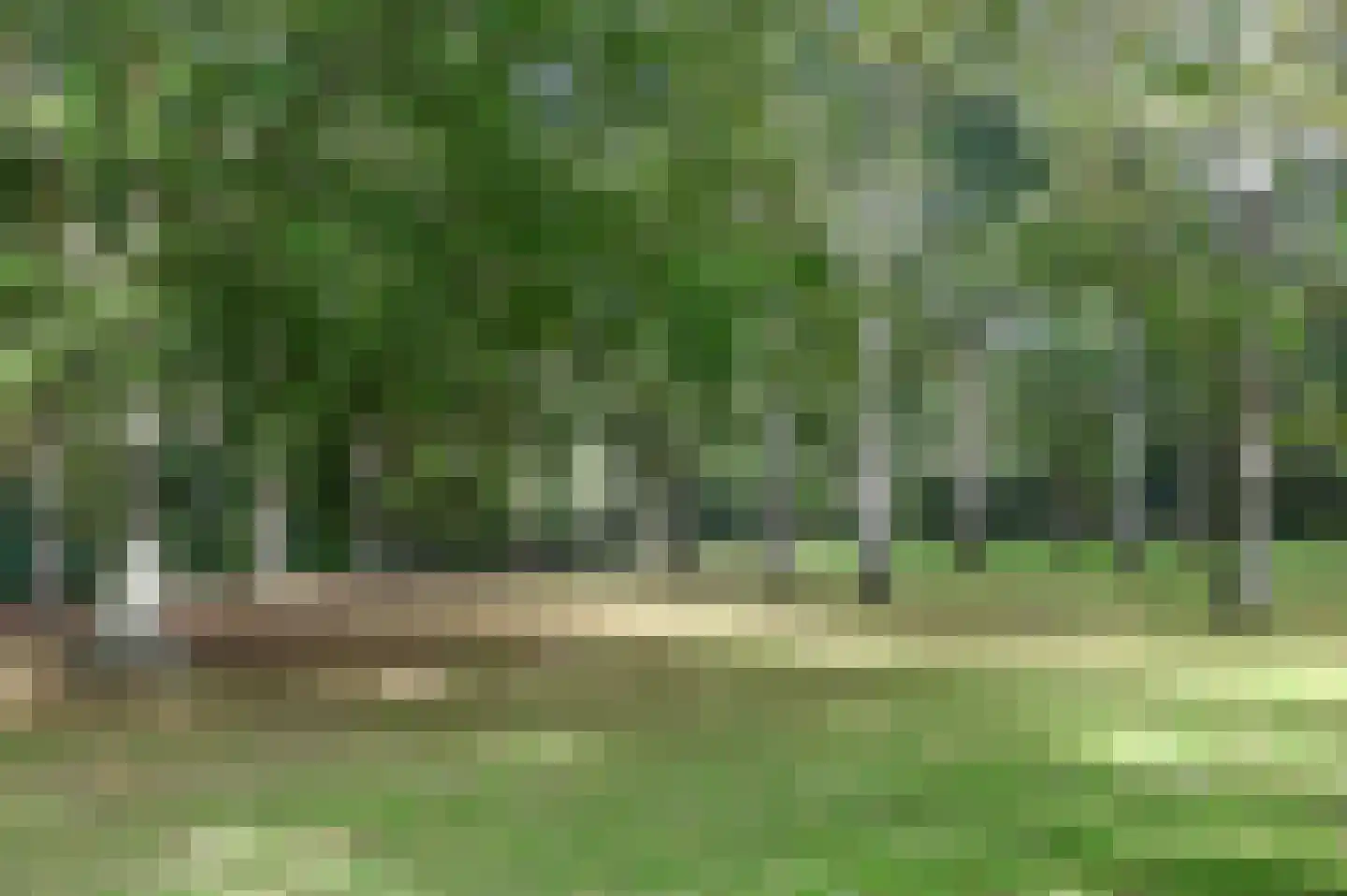 Thorbeckelaan 5 Velsen-Zuid thumbnail 47
