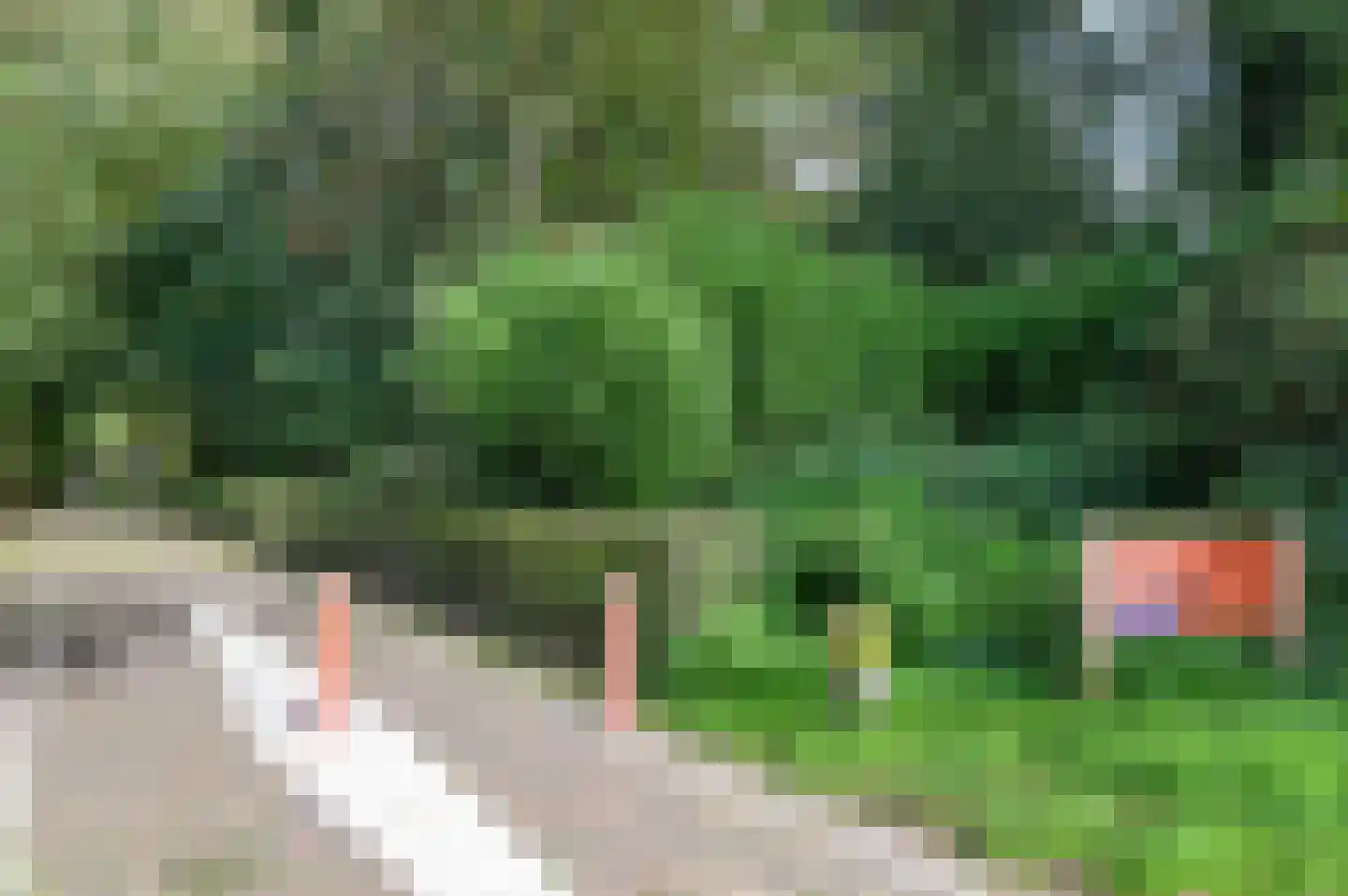 Thorbeckelaan 5 Velsen-Zuid thumbnail 48
