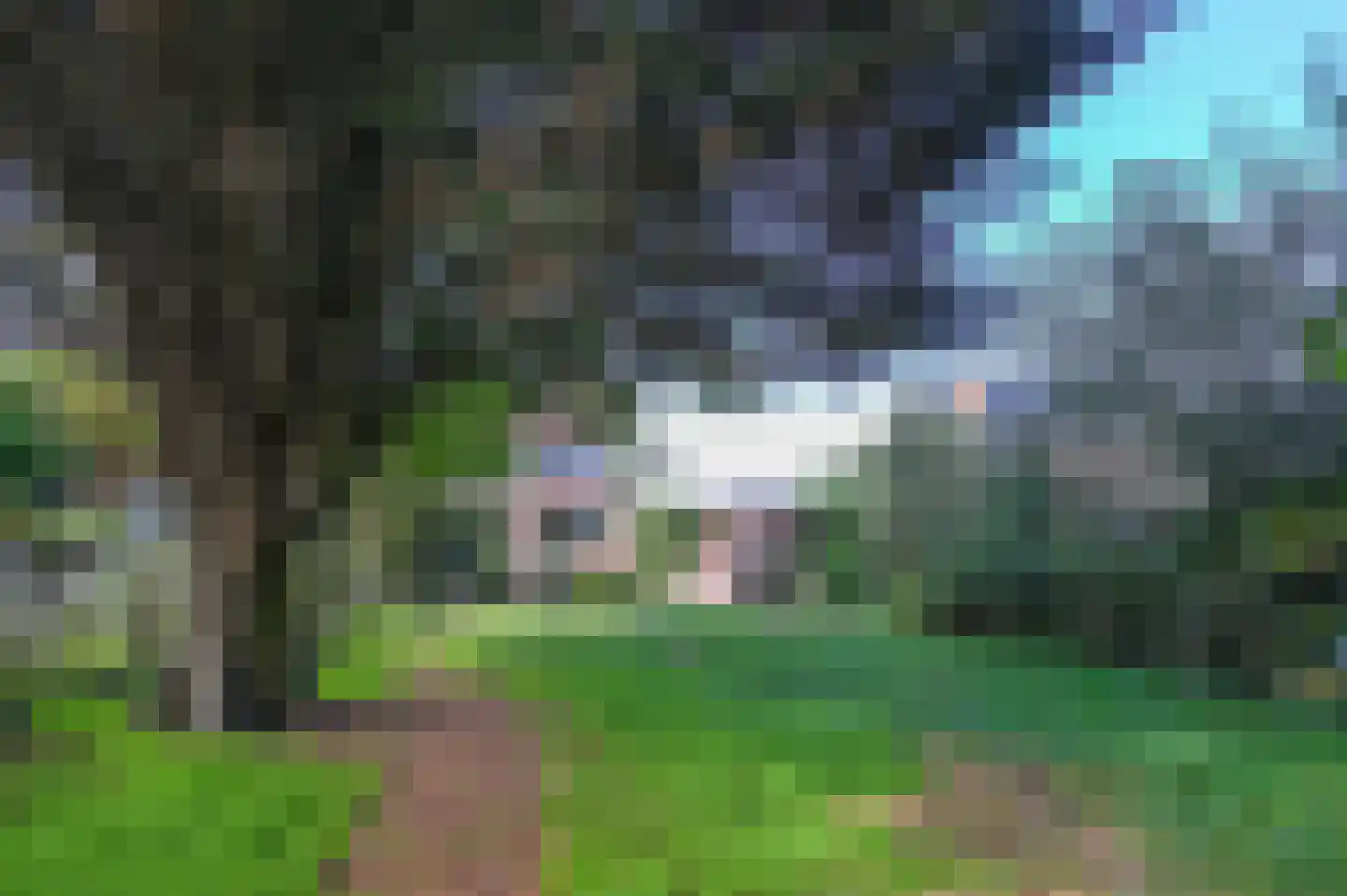 Thorbeckelaan 5 Velsen-Zuid thumbnail 5