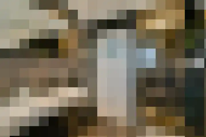 Thorbeckelaan 50 Amstelveen thumbnail 20