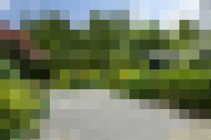 Thorbeckelaan 50 Den Haag thumbnail 45
