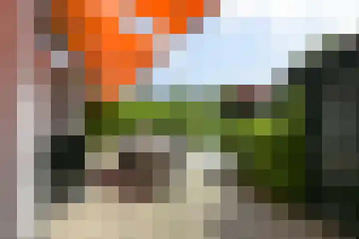 Thorbeckelaan 50 Den Haag thumbnail 46