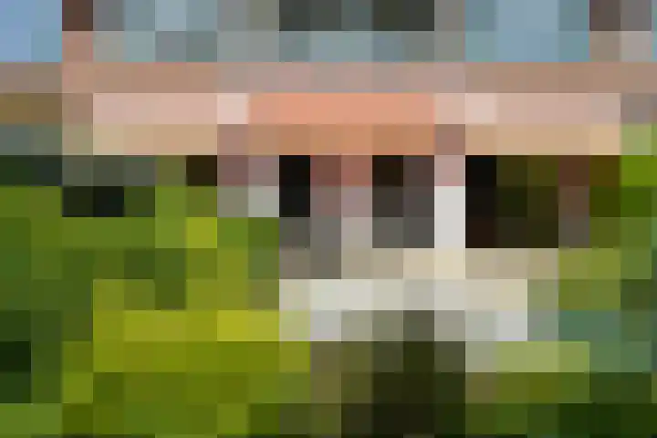 Thorbeckelaan 50 Den Haag thumbnail 47