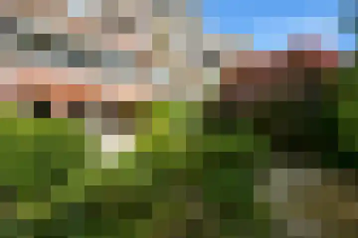Thorbeckelaan 50 Den Haag thumbnail 49