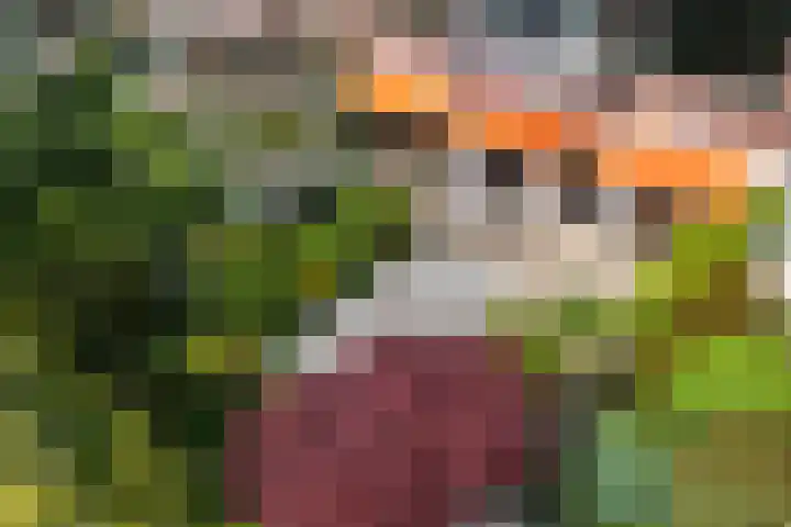 Thorbeckelaan 50 Den Haag thumbnail 8
