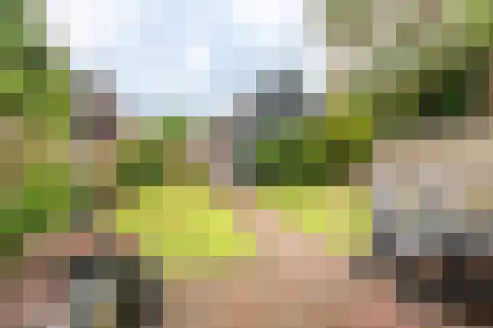 Thorbeckelaan 50 Oude Pekela thumbnail 4